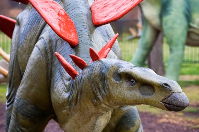 National Dinosaur Museum Canberra